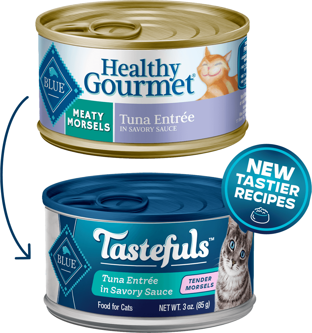 BLUE Buffalo Healthy Gourmet Meaty Morsels Tuna Entrée